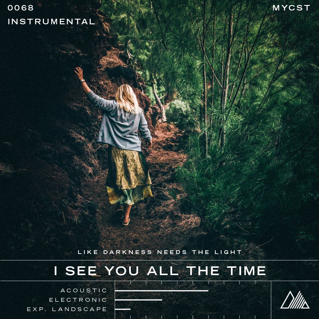 I See You All the Time (instrumental)